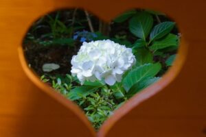 インスタ辞めたら幸せ