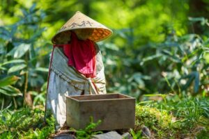 出羽三山：不思議な現象と信仰の中心！霊的な魅力を探る旅！