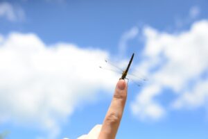 インスタ アバター 気持ち悪いと感じる理由と真相！