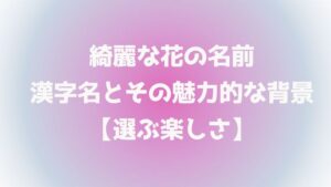 綺麗な花の名前：漢字名とその魅力的な背景【選ぶ楽しさ】