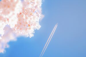 美奈子ファミリー:ノエルの旦那さん！子供リタ＆リアに３人目？